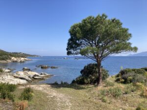 Golfe-de-Saint-Florent-(Korsika)