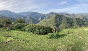 Nationalpark-Pyrenäen