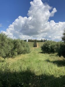 Val-d’Orcia-(Italien)